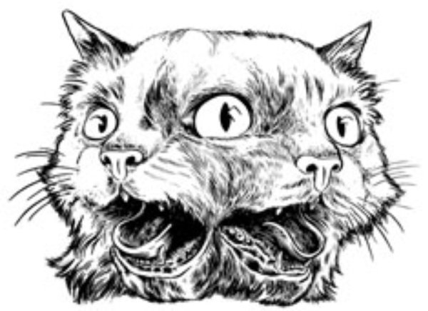 Чешир Американ МАКГИ