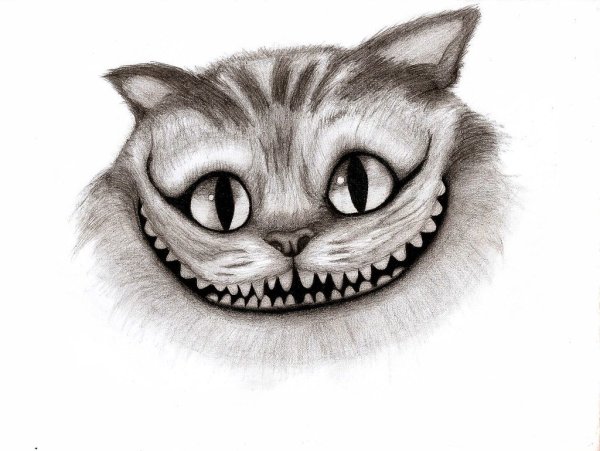 Чеширский кот из Алисы в стране чудес рисунки карандашом