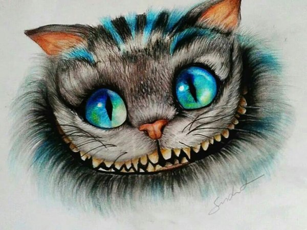 Глаза Чеширского кота