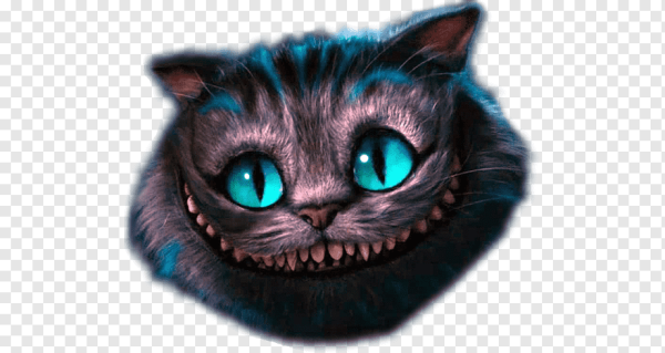 Чеширский кот
