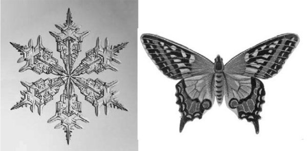 Симметричная композиция из фигур