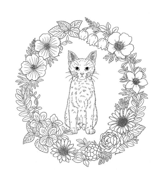 Раскраски антистресс котята