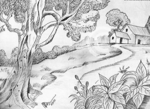 Природа карандашом