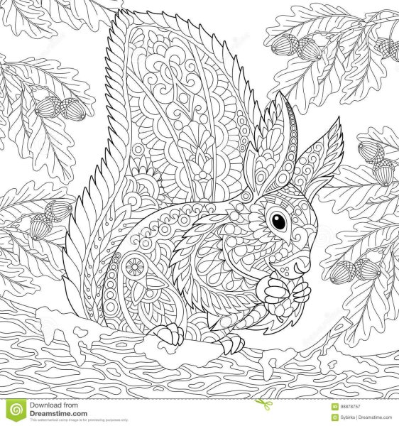 Раскраска антистресс Белочка