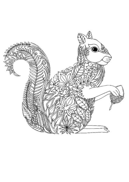 Раскраска антистресс