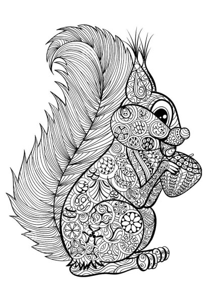 Мандала белка