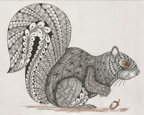 Графика животные