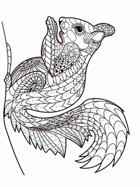 Раскраски антистресс белки