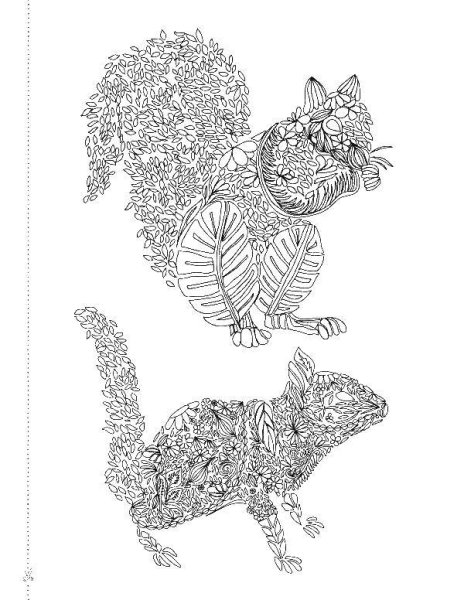 Раскраска Мандала белка