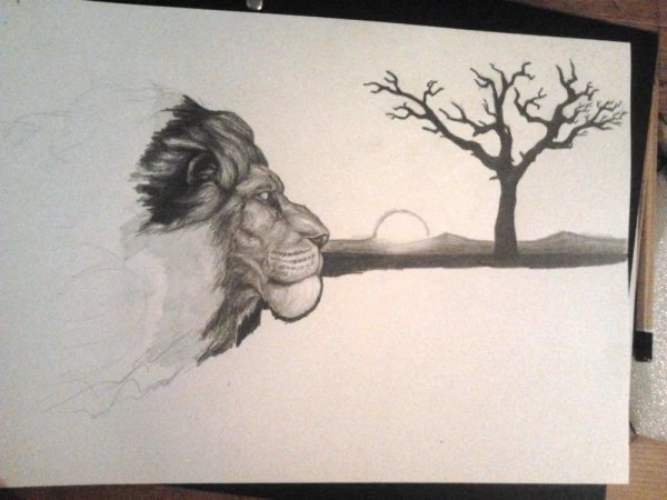 Рисунки средней сложности