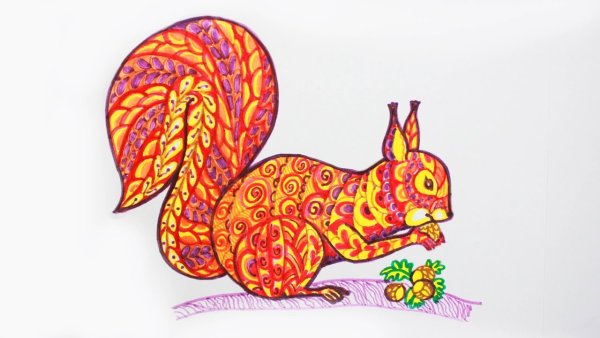 Белка дудлинг