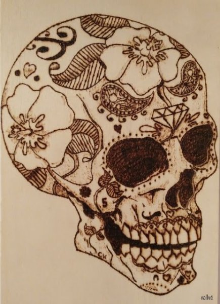 Череп для выжигания