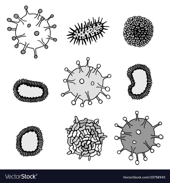 Строение вирусов микробиология