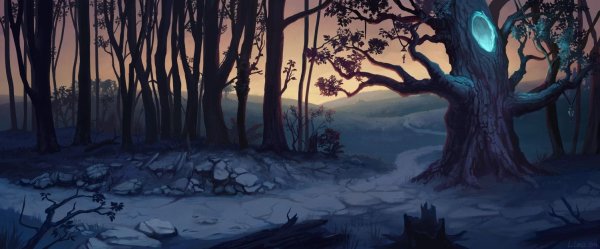 «Ночь в лесу»