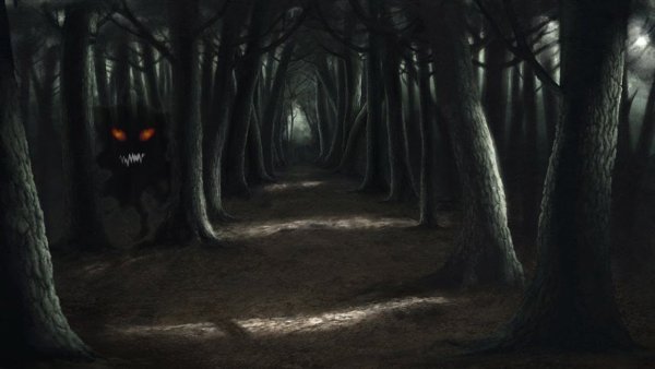Темный лес аниме