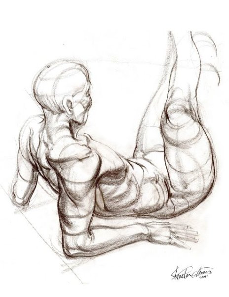 Наброски анатомии человека