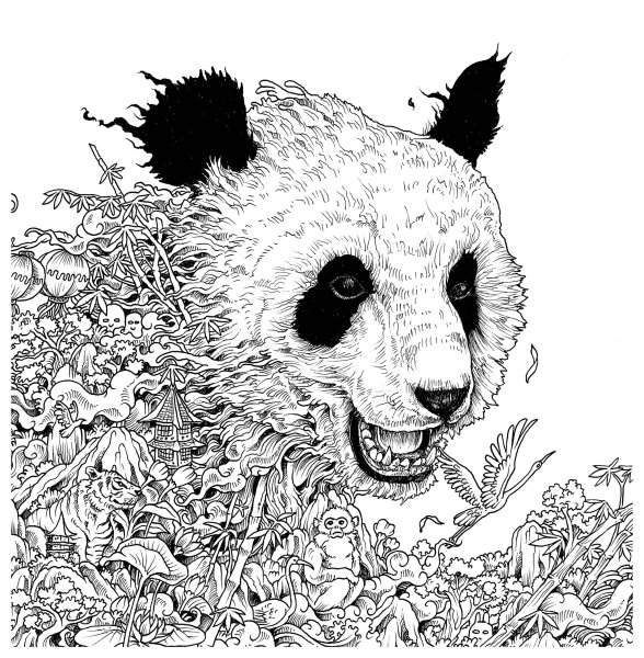 Большая раскраска для взрослых