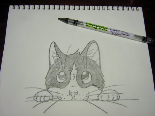 Керби Розанес метаморфозы