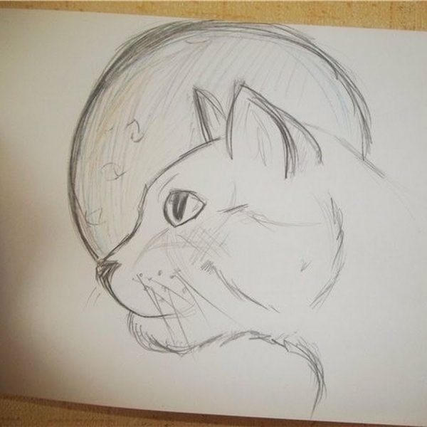 Единорог Раскрашенные