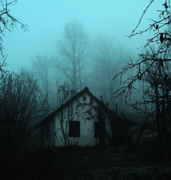 Мрачный домик в лесу