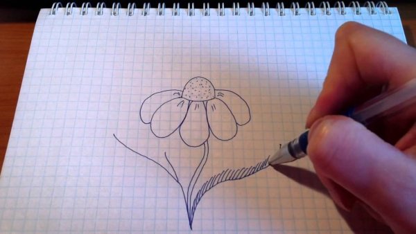 Рисунки обычным карандашом