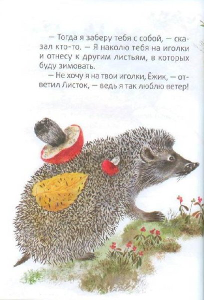 Рассказ е Чарушина ёж