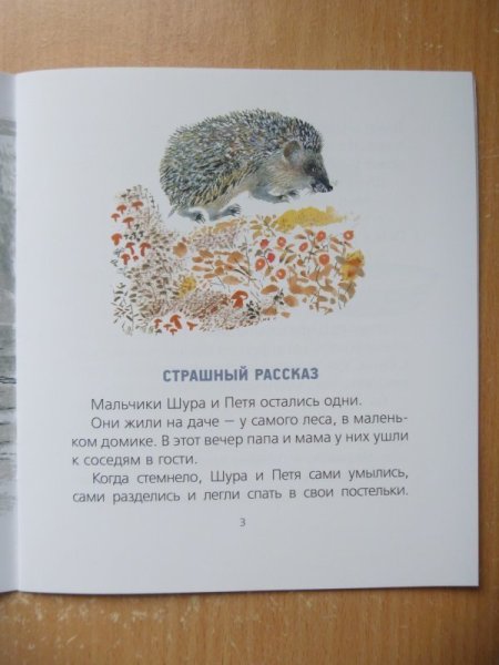 Е Чарушин страшный рассказ