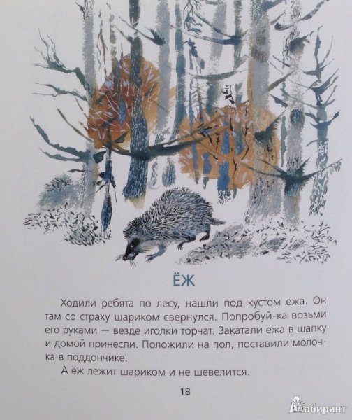 Чарушин рассказ еж
