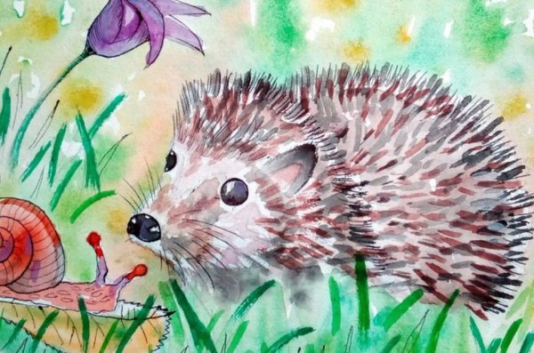Ёжик в сказках иллюстрации