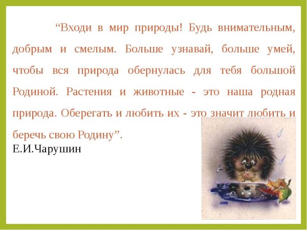 Рассказ Евгения Чарушина про ежа