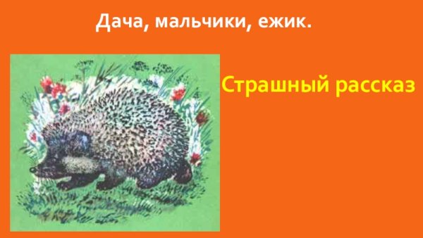 Ежик страшный рассказ