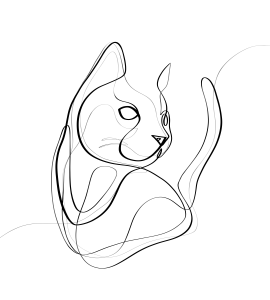 Кошка линиями