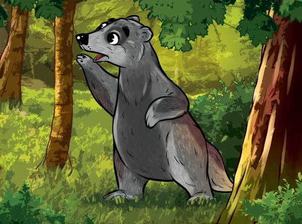 Медведь барсук