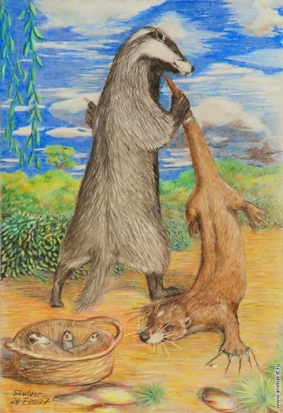 Алтайские народные сказки