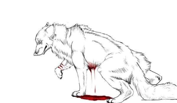 Раскраска волк оборотень