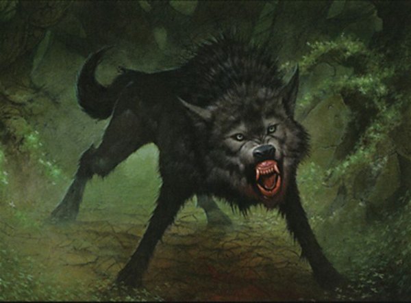 Рисунки Волков и оборотней карандашом