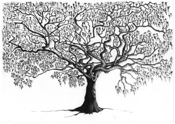 Красивое дерево в графике