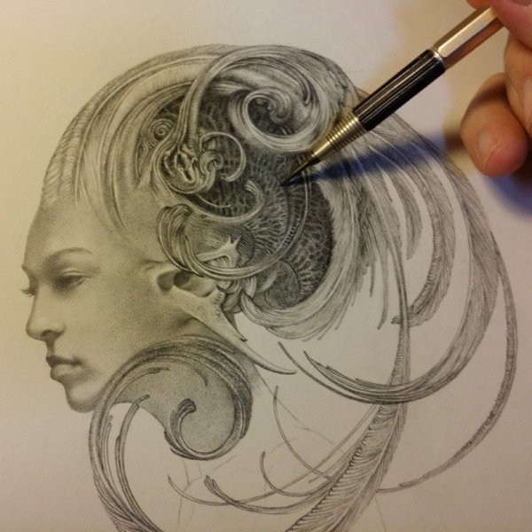 Графические зарисовки животных