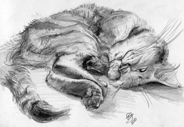 Kerby Rosanes геометрические животные