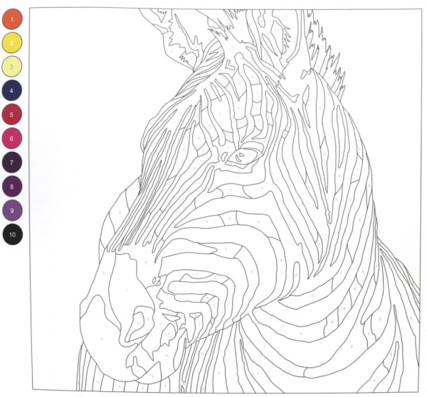 Раскраски по номерам для взрослых