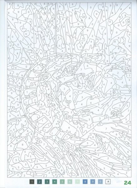 Рисование по номерам девочка
