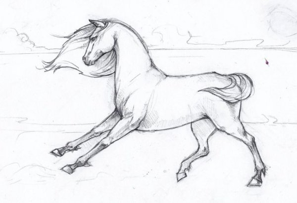 Лошадь рисунок карандашом