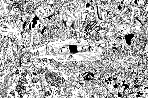 Керби Розанес Аниморфозы