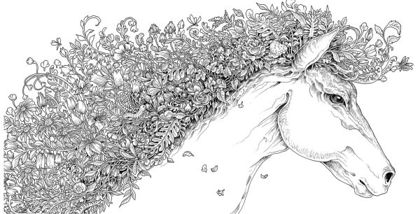 Mythomorphia Kerby Rosanes