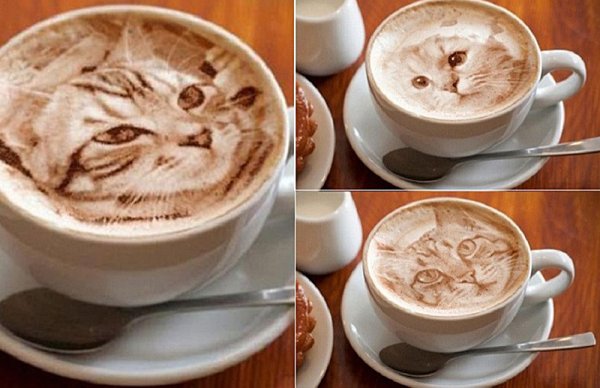 Рисунки на кофейной пенке