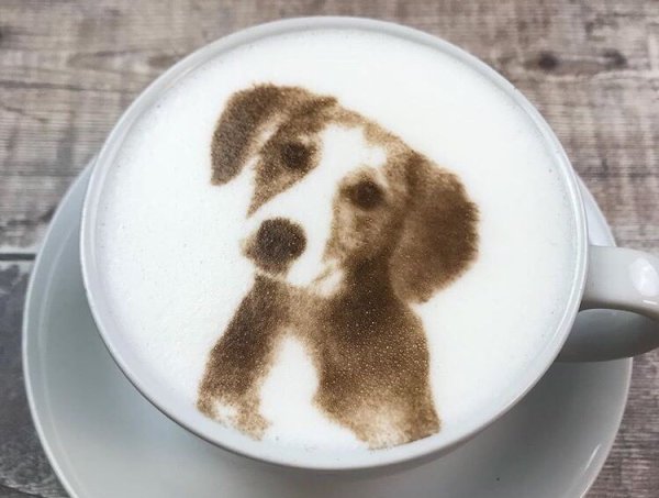 Печать на кофейной пенке