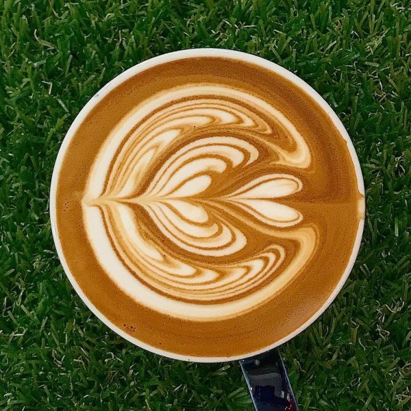 Тюльпан латте латте арт