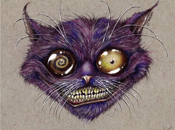 Бенджамин Лакомб Чеширский кот