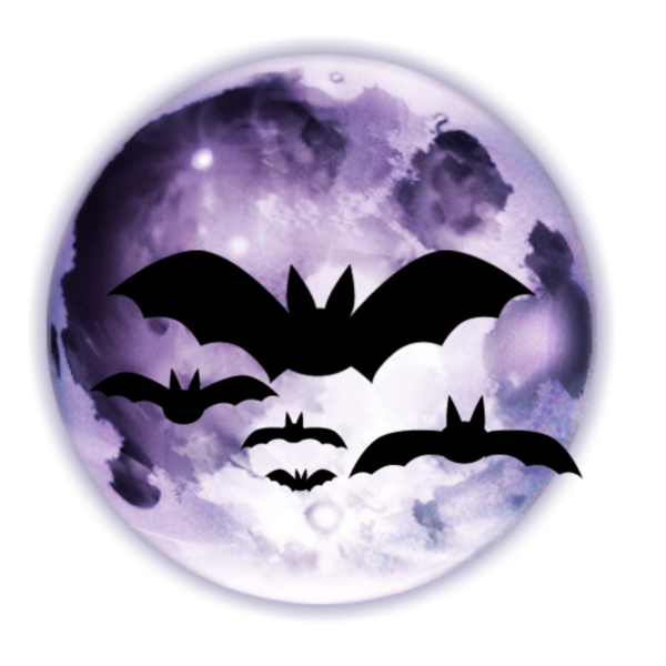 Летучая мышь мистика