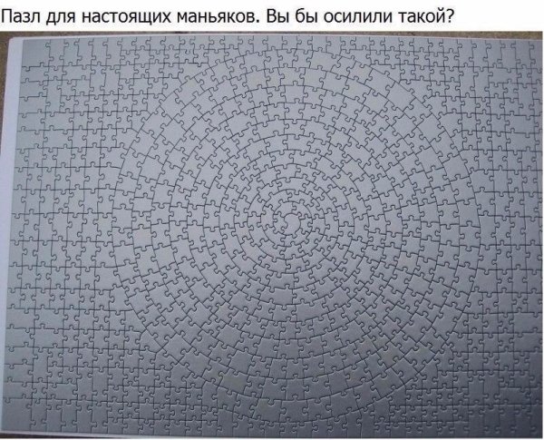 Мировые рекорды Гиннесса 2021